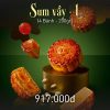 combo sum vầy 1