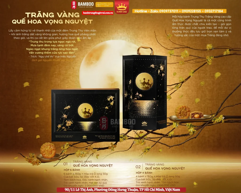 Trăng Vàng QUẾ HOA VỌNG NGUYỆT thượng hạng